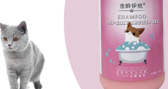 金岭伊统沐浴露多少钱 金岭伊统沐浴露多少钱