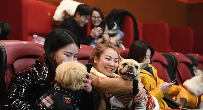为拉流伦敦电影院“讨好”宠物,狗狗可免票陪主人看电影 为拉流伦敦电影院“讨好”宠物,狗狗可免票陪主人看电影
