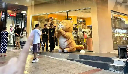 2025宿迁宠物经济全链式发展促进活动举行 2025宿迁宠物经济全链式发展促进活动举行