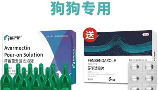 狗狗专用驱虫药有哪些？银铲铲帮助狗狗快速驱虫
