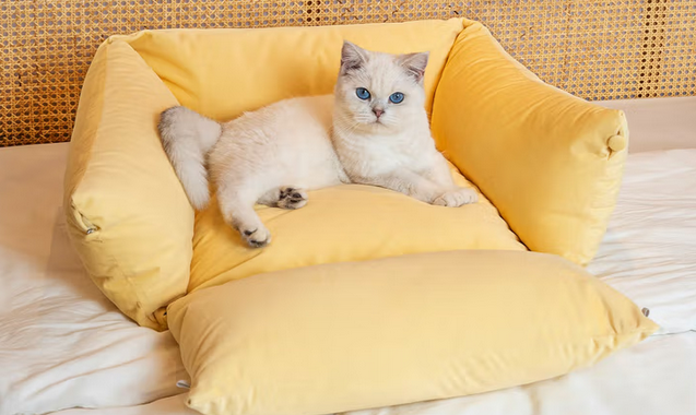 Joyboox宠物窝好清洗吗