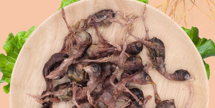 猫咪零食怎么选?大毛二毛家冻干鹌鹑给主子人参级的营养美味 猫咪零食怎么选?大毛二毛家冻干鹌鹑给主子人参级的营养美味