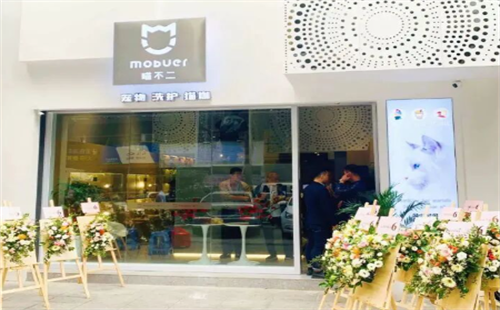 喵不二MOBUer