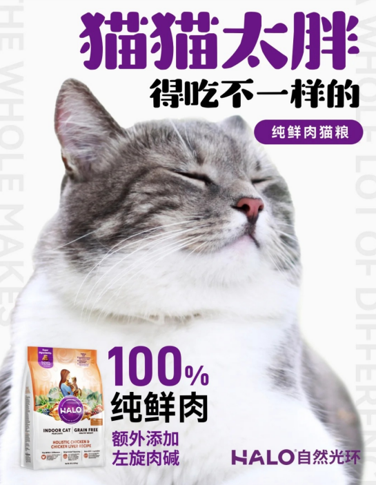 2025猫粮推荐排行榜:肠胃敏感猫咪的高性价比之选 2025猫粮推荐排行榜:肠胃敏感猫咪的高性价比之选