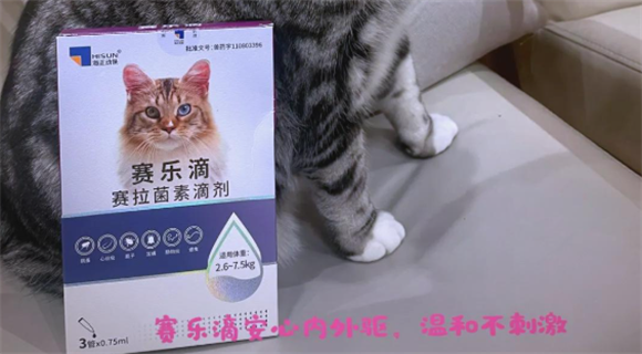 新手养猫驱虫轻松搞定?赛乐滴内外同驱药,让驱虫变简单 新手养猫驱虫轻松搞定?赛乐滴内外同驱药,让驱虫变简单