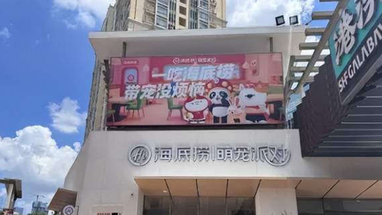 让宠物和人一起吃饭,海底捞拼了 让宠物和人一起吃饭,海底捞拼了