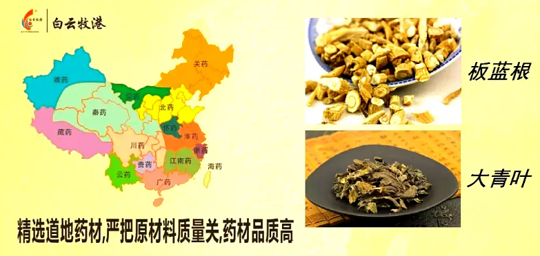 牛羊“上火”怎么办？白云牧港板青颗粒来帮你！