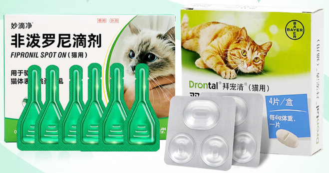 猫用驱虫药哪个牌子好?这款妙医世家了解一下! 猫用驱虫药哪个牌子好?这款妙医世家了解一下!