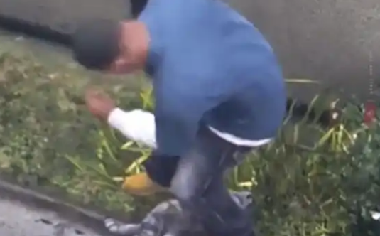 全国首例虐猫刑案!男子虐杀20余只猫,网友:判得好 全国首例虐猫刑案!男子虐杀20余只猫,网友:判得好