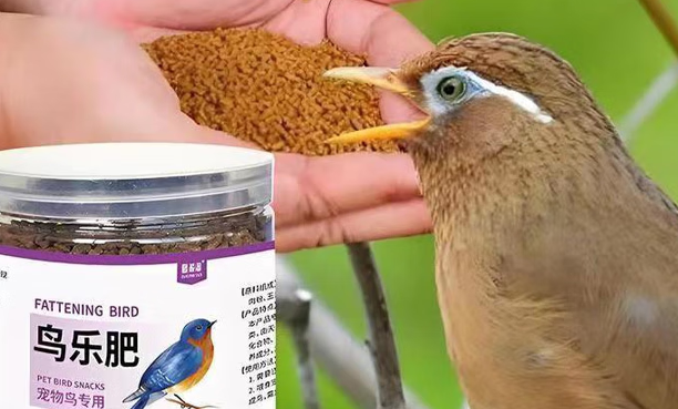 哆派淘这个牌子怎么样 哆派淘这个牌子怎么样