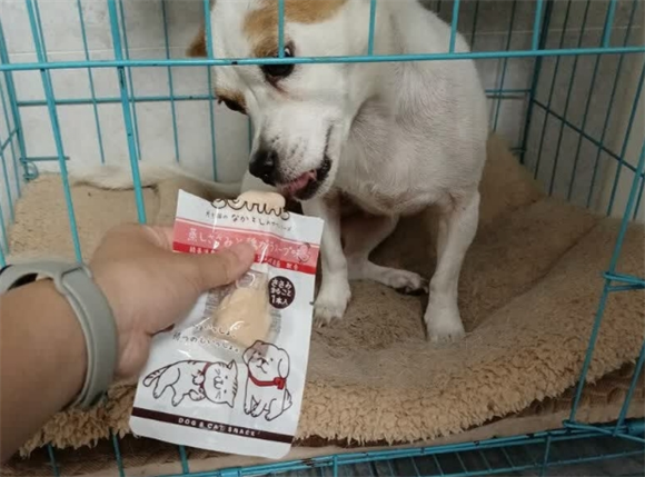 狗狗吃的零食有哪些适口性高?日和优宠鸡胸肉当属安心之选~ 狗狗吃的零食有哪些适口性高?日和优宠鸡胸肉当属安心之选~