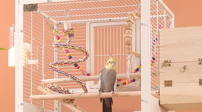宠儿新家鸟笼贵吗