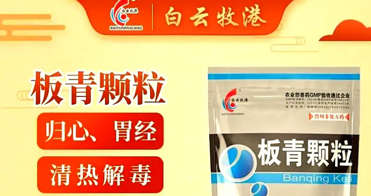 牛羊“上火”怎么办？白云牧港板青颗粒来帮你！