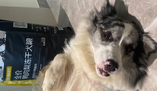 2025年狗粮排行榜前十名口碑最好的狗粮:醇粹,解锁喂养新选择 2025年狗粮排行榜前十名口碑最好的狗粮:醇粹,解锁喂养新选择