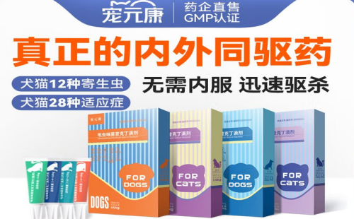 宠元康