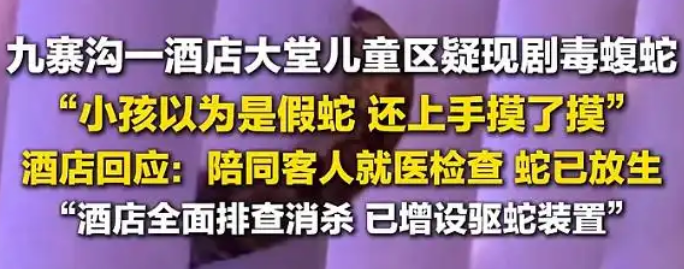酒店大堂惊现毒蛇,小孩以为是假蛇还去摸了,店方:已放生 酒店大堂惊现毒蛇,小孩以为是假蛇还去摸了,店方:已放生