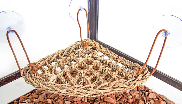 爬宠吊床品牌推荐新派,为爱宠打造惬意小天地 爬宠吊床品牌推荐新派,为爱宠打造惬意小天地