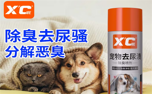 XCARE施凯