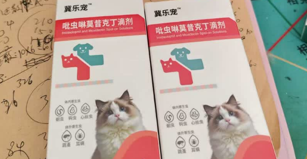 猫咪驱虫选哪款放心?冀乐宠滴剂安全有效值得信赖! 猫咪驱虫选哪款放心?冀乐宠滴剂安全有效值得信赖!
