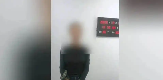 大反转！网传“贵州文昌阁多只小猫被挖眼”系AI编造