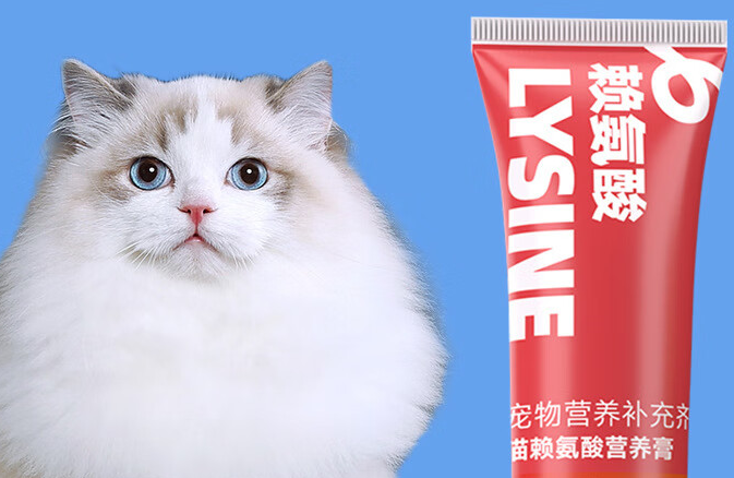 宠物营养补充推荐:宠安仕给猫咪全方位的营养守护 宠物营养补充推荐:宠安仕给猫咪全方位的营养守护