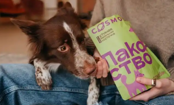 宠物零食品牌推荐!Cosmopet四大核心成分,重构营养守护 宠物零食品牌推荐!Cosmopet四大核心成分,重构营养守护