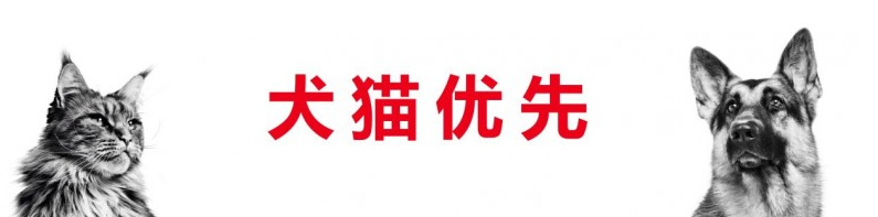 皇家宠物食品中国三十周年：以精准营养守护犬猫健康，构建宠物生态新未来