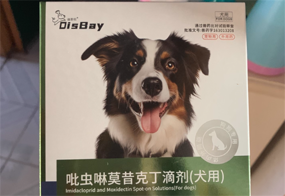选宠物驱虫药有困扰？迪思呗产品优势值得一看