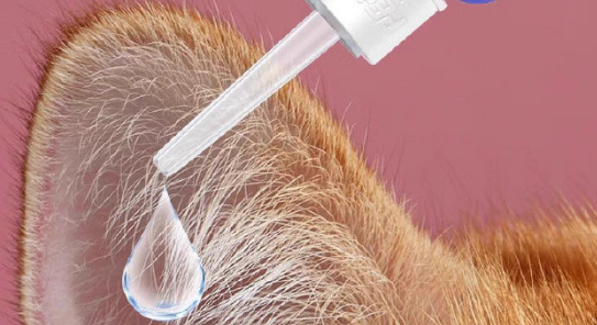 宠物耳朵健康守护指南:宠可灵滴耳液成为安心之选! 宠物耳朵健康守护指南:宠可灵滴耳液成为安心之选!