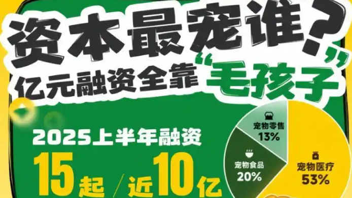 宠物写真上千元,比人贵一倍,谁在为情感“氪金”? 宠物写真上千元,比人贵一倍,谁在为情感“氪金”?