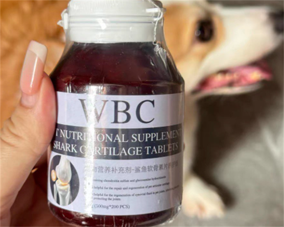 宠物关节不适吃什么？WBC鲨鱼软骨素能否成为关节健康守护者