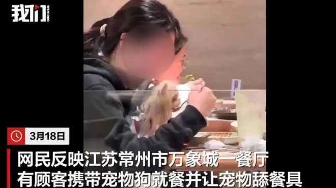 被曝“公筷喂狗”,西贝最新回应 被曝“公筷喂狗”,西贝最新回应