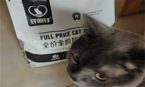 许愿仔2025年十大口碑最好的猫粮是什么？许愿仔猫粮值得一试！