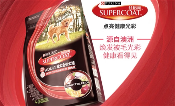 金毛狗粮推荐品牌——丝倍亮，焕毛养护两不耽误！