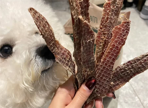 狗狗零食鸭肉干推荐：爵宴鸭肉干，真材实料狗狗爱不释口