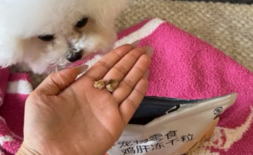 狗零食鸡肝推荐:领先鸡肝冻干粒,每一餐都藏着安心与美味 狗零食鸡肝推荐:领先鸡肝冻干粒,每一餐都藏着安心与美味