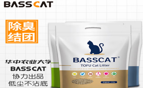 贝贝猫