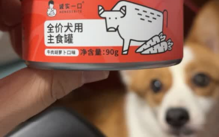 狗罐头哪些牌子好?诚实一口,让爱犬每餐都“光盘” 狗罐头哪些牌子好?诚实一口,让爱犬每餐都“光盘”