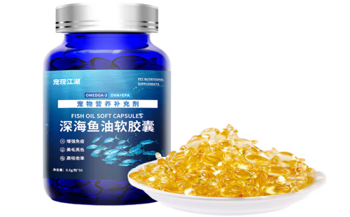 宠现江湖