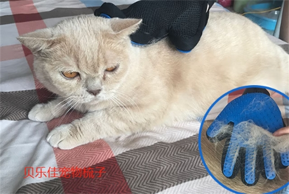 贝乐佳宠物梳子好用吗