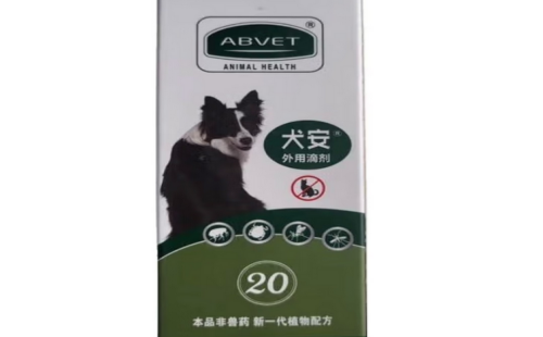 犬安