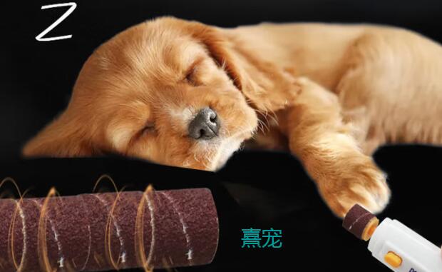 熹宠宠物磨甲器好不好