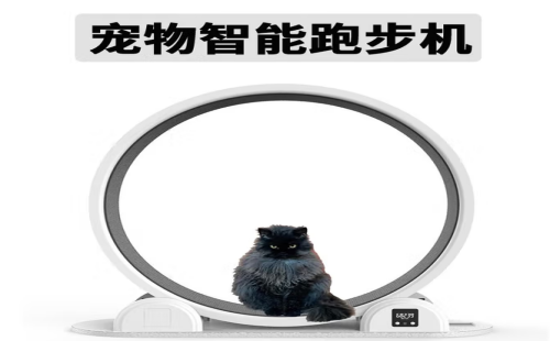 嘻哈鸭