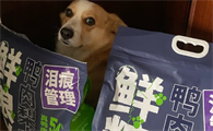 老年小型犬狗粮推荐——鲜粮说鸭肉梨狗粮，降火易消化实测有效