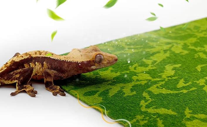 爬宠垫材哪种最好？魅族宠物地毯打造多宠适配的环保守护