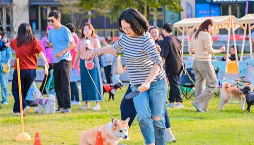 放大“陪伴”价值,宠物经济如何激发全链条创新 放大“陪伴”价值,宠物经济如何激发全链条创新