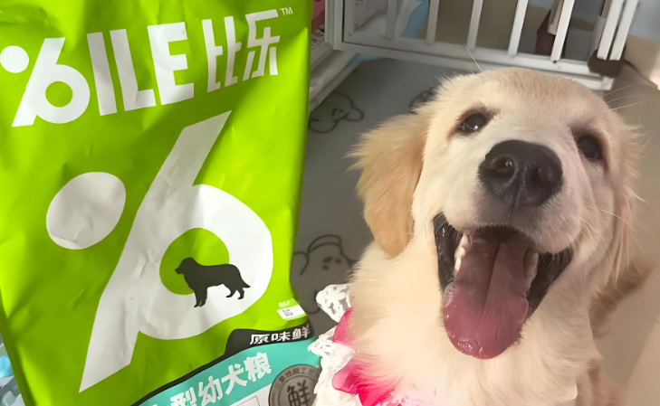 金毛狗粮品牌排行榜:比乐中大型成犬粮冻干加量,美味更营养 金毛狗粮品牌排行榜:比乐中大型成犬粮冻干加量,美味更营养