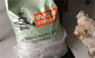 品牌狗粮良心推荐平价，比瑞吉用亲民价给毛孩满分宠爱！