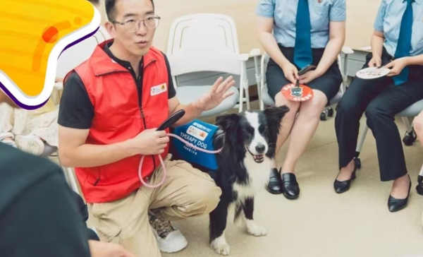 治疗犬打开自闭症儿童的心扉,助力儿童群体康复 治疗犬打开自闭症儿童的心扉,助力儿童群体康复
