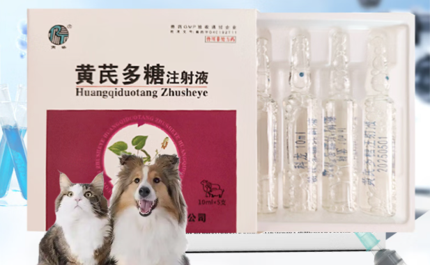 芮添黄芪多糖兽用注射液丨益气固本，调节免疫